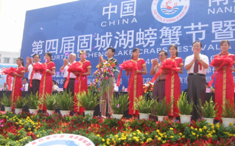 2001年首届江南-南京高淳固城湖螃蟹节