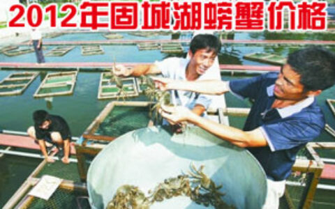 2012年固城湖螃蟹价格与高淳螃蟹行情预测