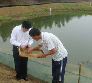 2010年高淳螃蟹养殖户忙着投放固城湖蟹苗