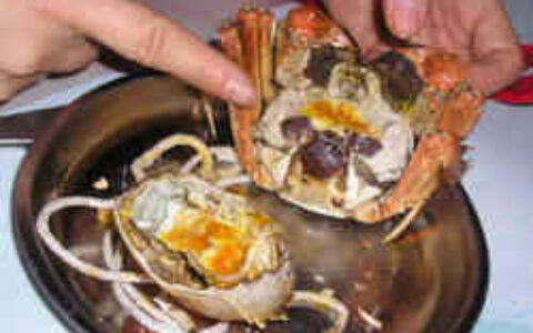 2010年第十届固城湖螃蟹节“金点子”征集活动