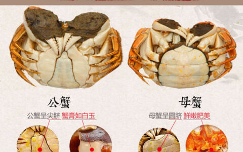 固城湖大闸蟹什么时候最好吃？