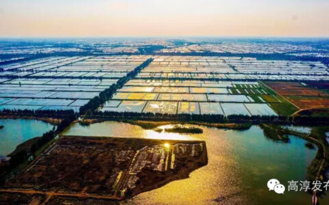 2018年高淳固城湖螃蟹节什么时候开始？