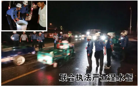 严格执法，打响固城湖螃蟹品牌宣传战和保卫战