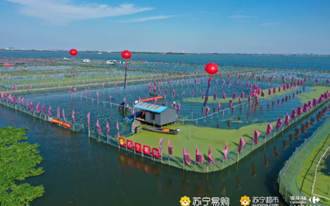 苏宁易购开捕阳澄湖第一篓 百亿补贴覆盖大闸蟹