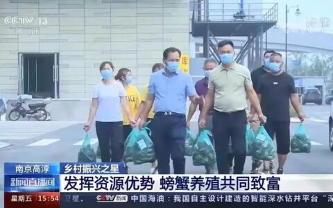高淳固城湖大闸蟹，竟爬上了央视《新闻直播间》