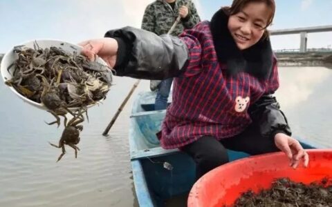 2018高淳固城湖螃蟹节：乡村振兴蟹乡美-高淳螃蟹节20年回顾
