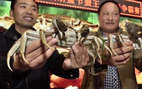 【蟹乡二十年 全面小康路】2016：螃蟹“持证”成“网红”  绿色品牌成亮点