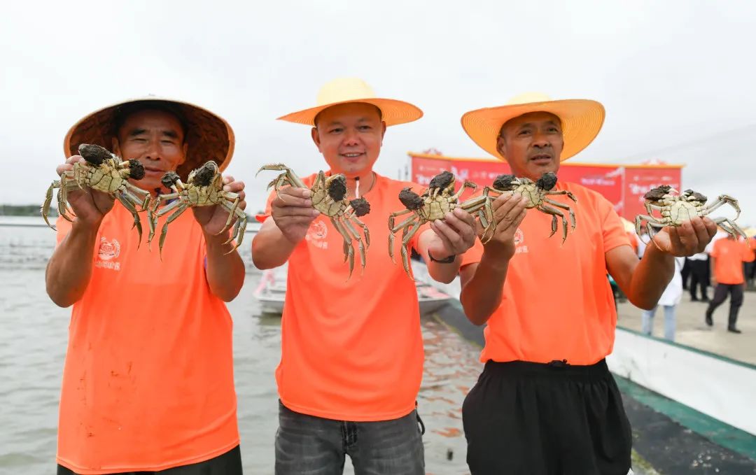 固城湖螃蟹入围全国重点指导名录的地理标志
