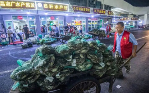 大闸蟹价格降幅超50%，今年大闸蟹不好卖了吗？