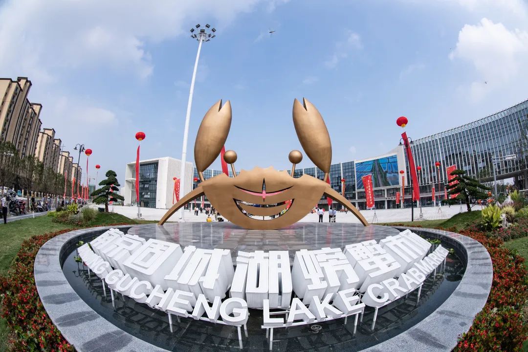 “中国十大名蟹”——固城湖螃蟹