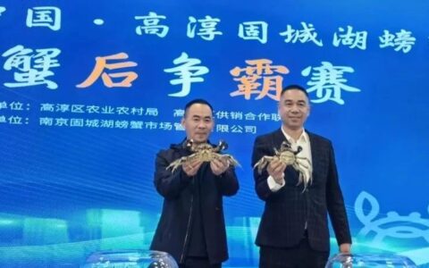 2023年固城湖大闸蟹“蟹王”“蟹后”诞生，创高淳大闸蟹之最